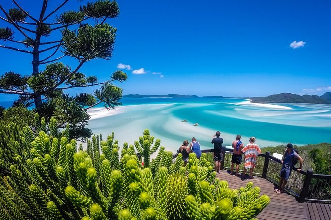 Walkers at the rail of the Hill Inlet lookout, hoop pines in front and the swirl of sand and water below
