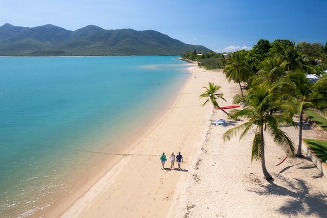 A palm-lined mainland beach seen from the air, three walkers far along the sand