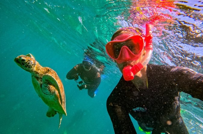 Snorkel & Whitehaven Beach Eco Cruise, Lunch | From Airlie Beach