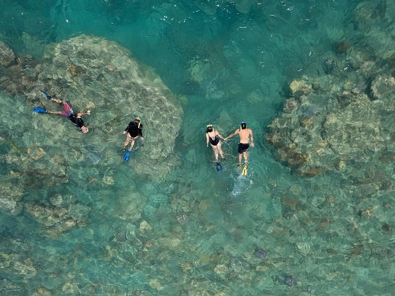 Snorkellers floating over dark coral heads in clear water, seen from straight above