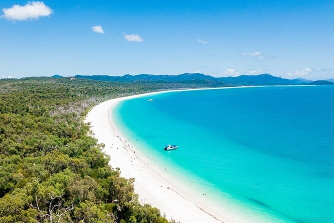 The long white curve of Whitehaven Beach seen from above the forest